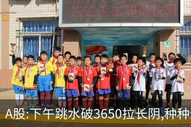 A股:下午跳水破3650拉长阴,种种迹象表明,A股C浪调整已重启了吗?